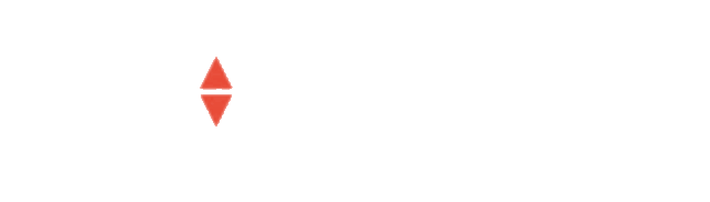 Pro Medicus
